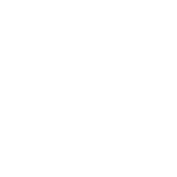 Las Vegas Security Services